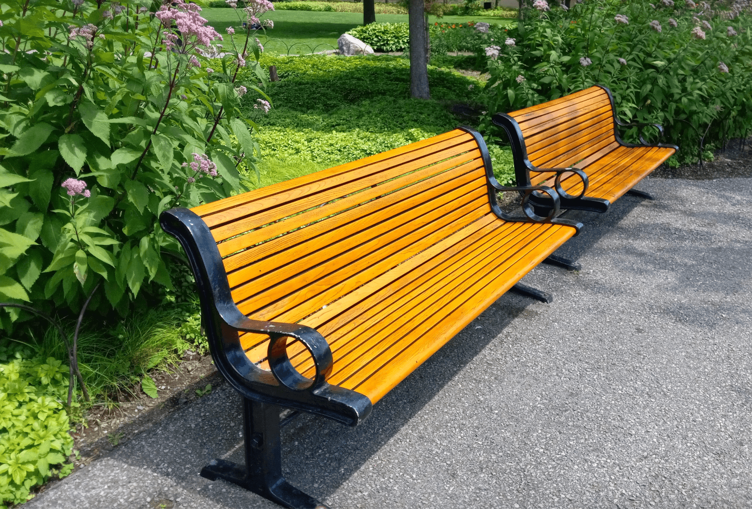 @ wooden park benches with flowers and greenery in background